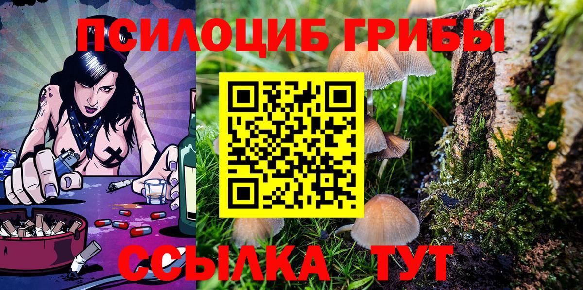 Благодарный  Псилоцибиновые грибы GOLDEN TEACHER  Вход с VPN 