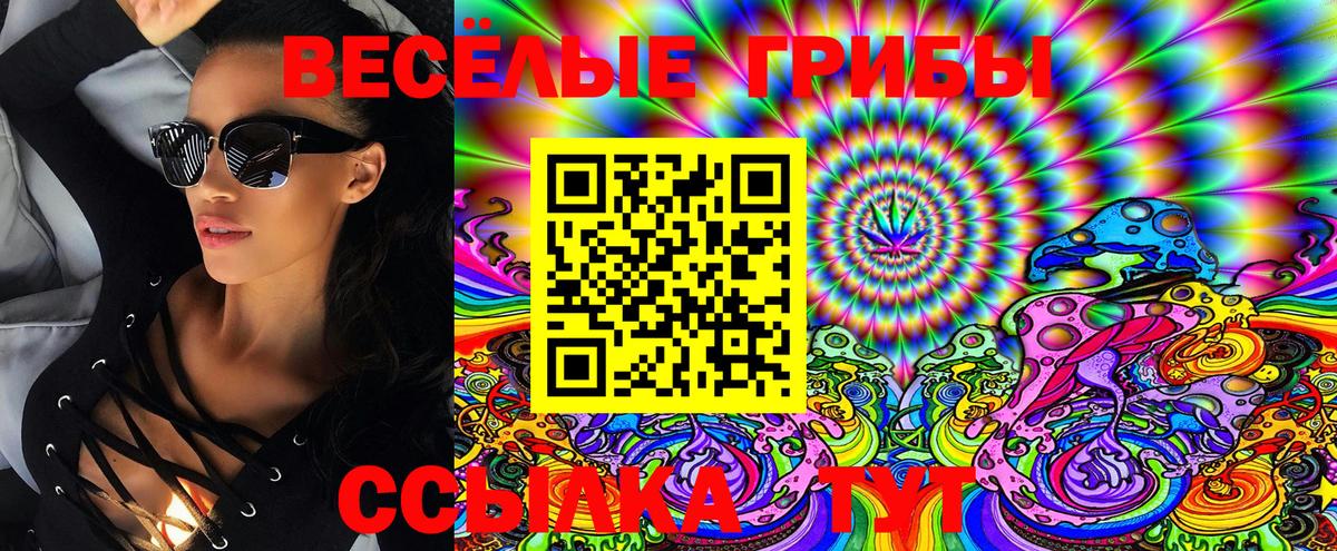 Псилоцибиновые грибы Cubensis Благодарный